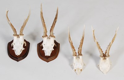 Lot 184 - A group of four assorted Roe Deer horn...