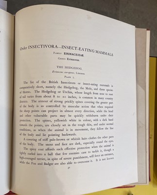 Lot 380 - Two Volumes, British Mammals, Vols I & II,...