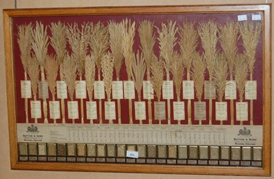 Lot 553 - A vintage oak framed Sutton & Sons, 'Seedsman...