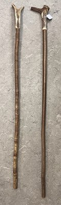 Lot 251C - Two stag horn handle walking sticks, largest...