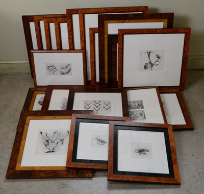 Lot 410 - Hunting interest, a collection of engravings...