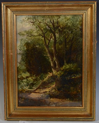 Lot 555 - John Milne Donald (1819-1866) Sundered tree in...