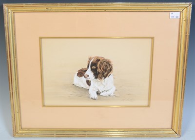 Lot 591 - 20th century British School Springer spaniel...