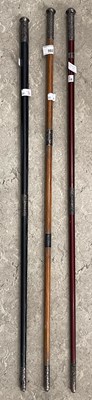 Lot 502 - A group of three Eastern swagger sticks, the...