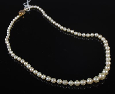 Lot 43 - An 18ct gold mounted single strand graduated...
